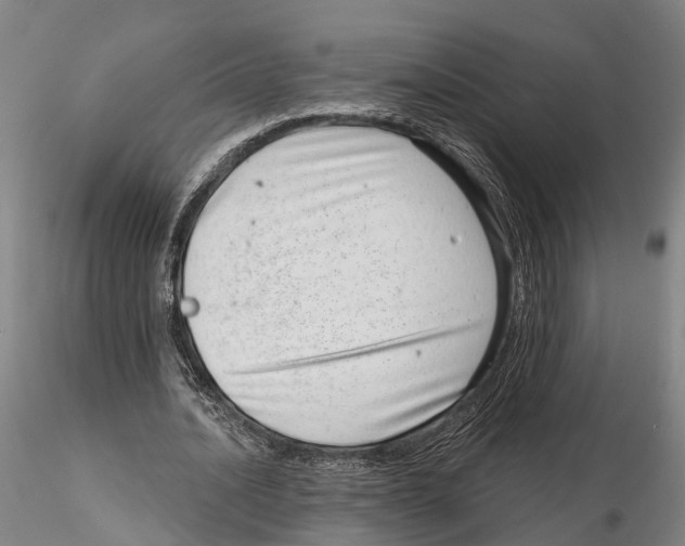 X0000115730628200912101453