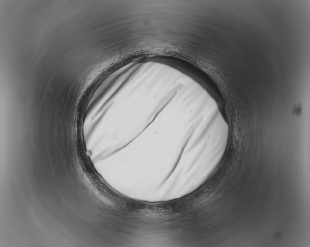 X0000115730630200912101453