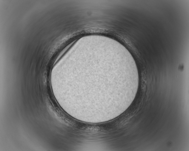 X0000115730631200912101453