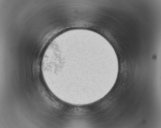 X0000115730632200912101453