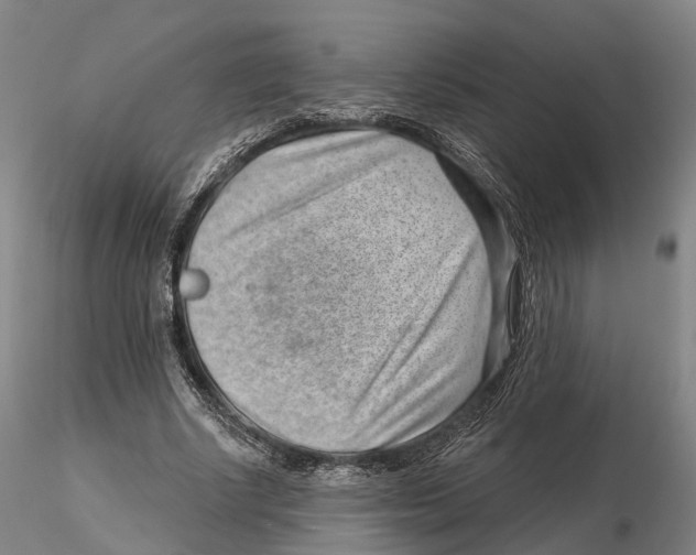 X0000115730634200912101453