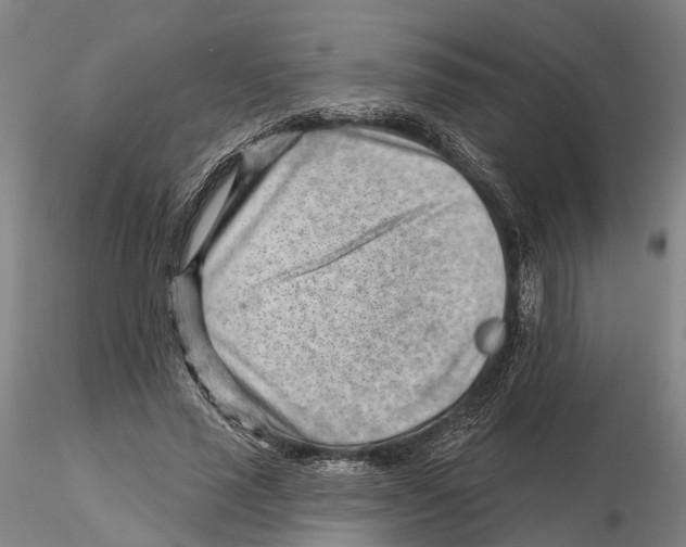X0000115730637200912101453