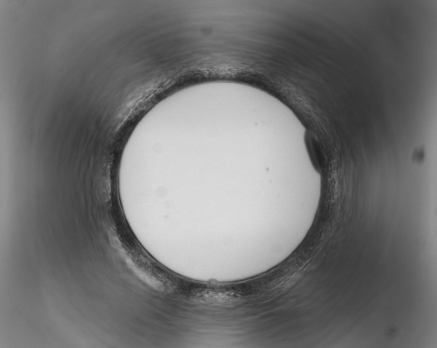 X0000115730638200912101453