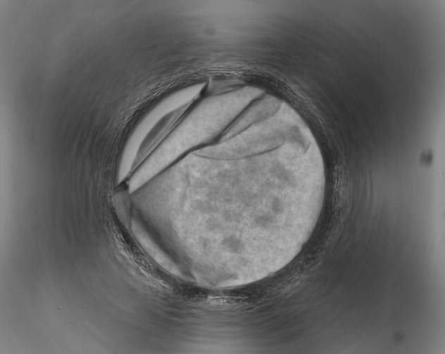 X0000115730641200912101453
