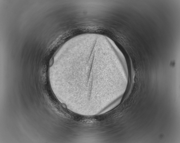X0000115730642200912101453