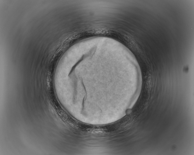X0000115730643200912101453