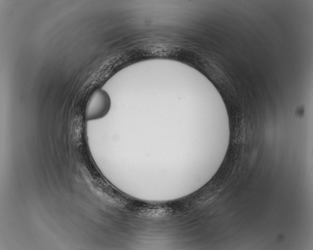 X0000115730646200912101453