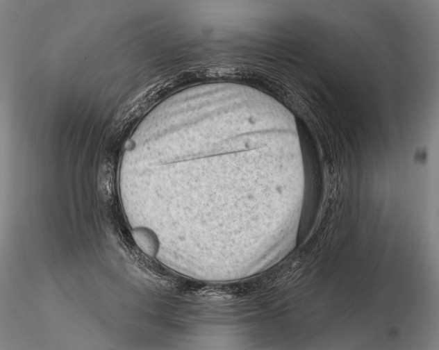 X0000115730648200912101453