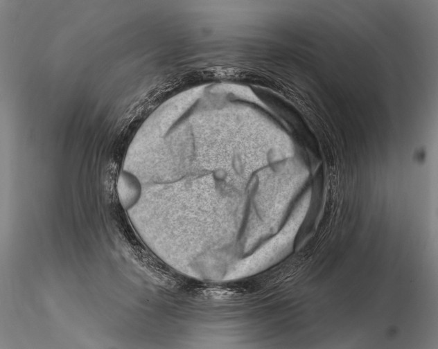 X0000115730650200912101453