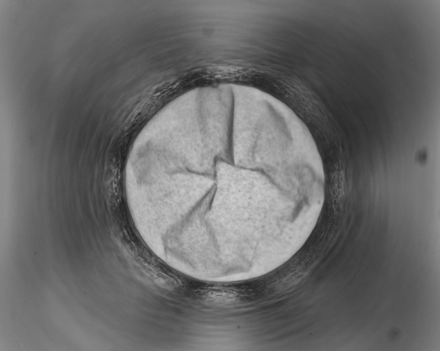 X0000115730653200912101453
