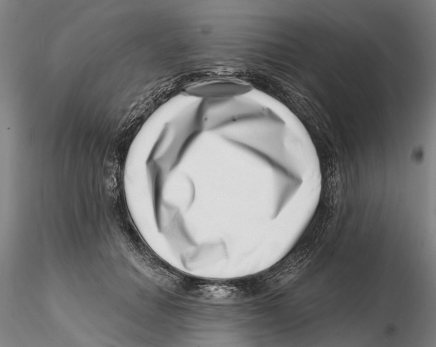 X0000115730654200912101453