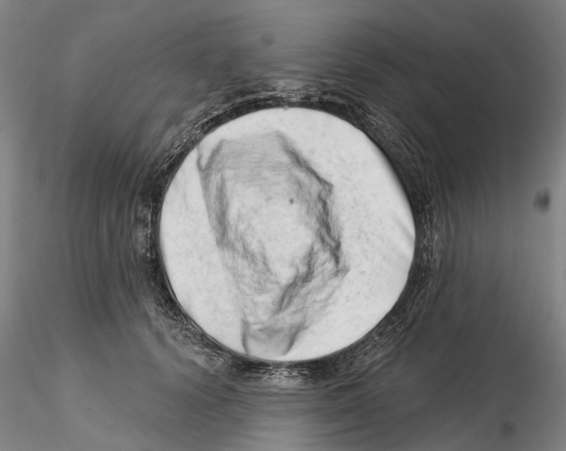 X0000115730656200912101453