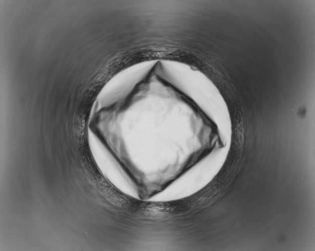 X0000115730657200912101453