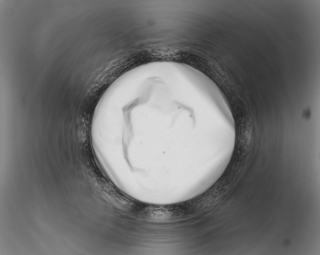 X0000115730658200912101453