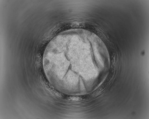 X0000115730659200912101453