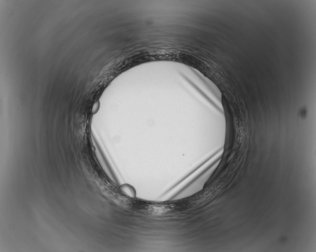X0000115730662200912101453