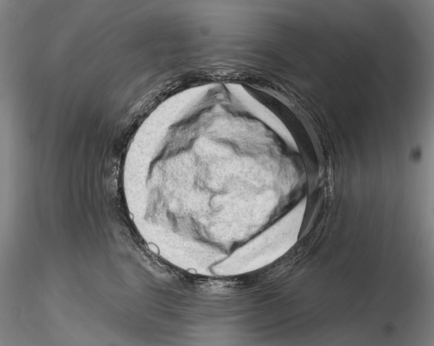 X0000115730664200912101453