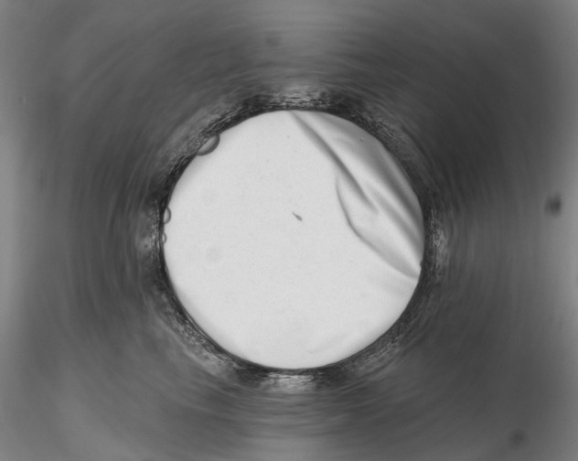 X0000115730665200912101453