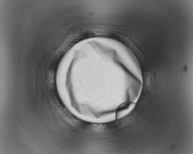 X0000115730667200912101453