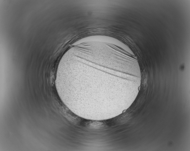 X0000115730669200912101453