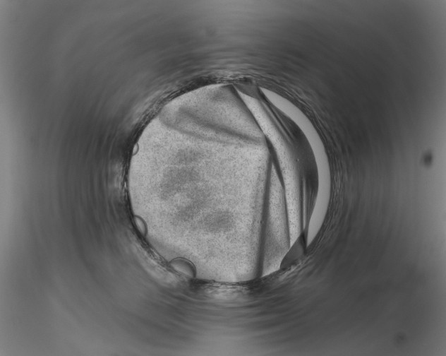 X0000115730670200912101453