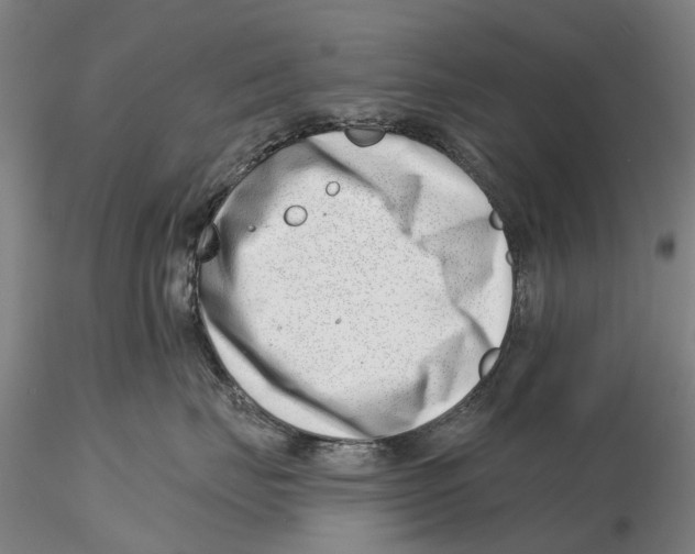 X0000115730671200912101453