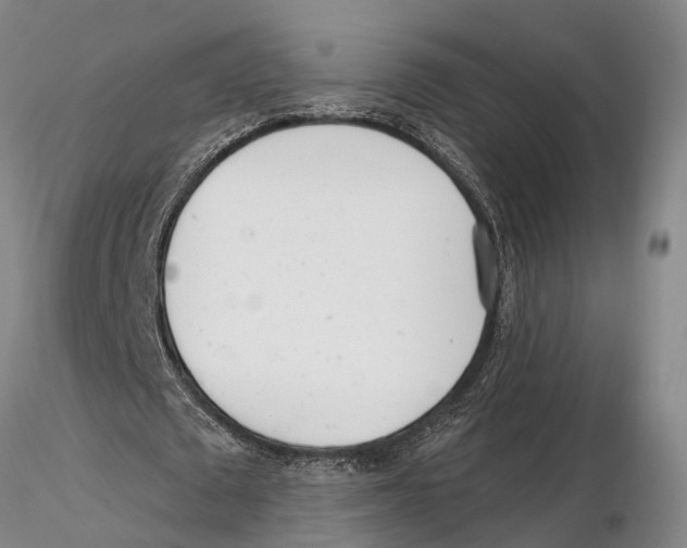 X0000115730673200912101453