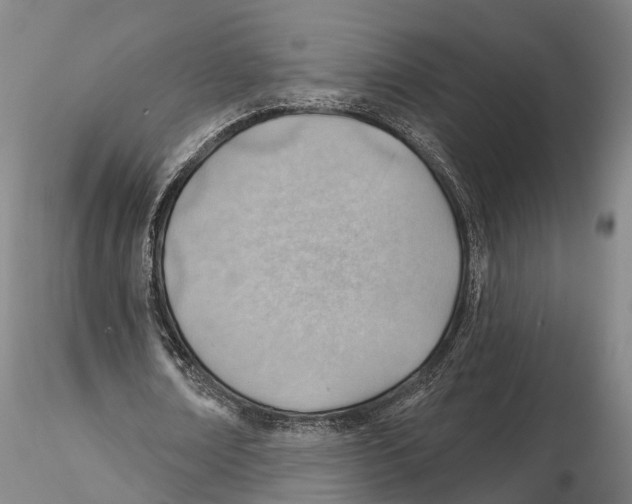 X0000115730674200912101453