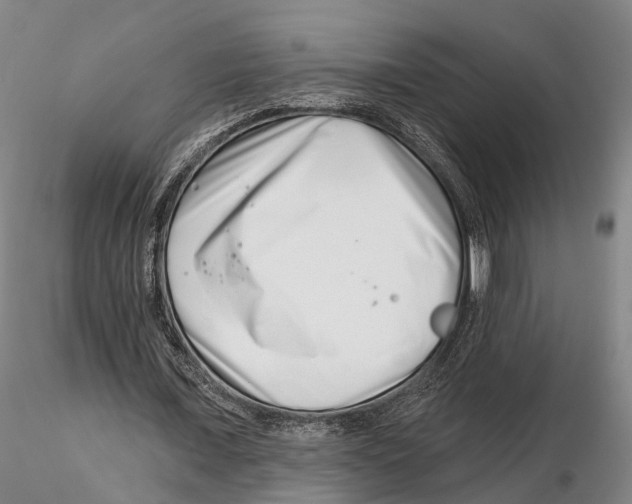 X0000115730675200912101453