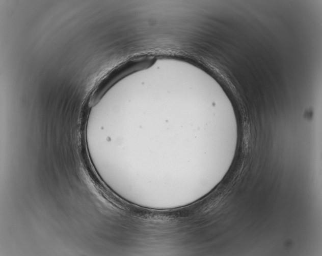 X0000115730677200912101453