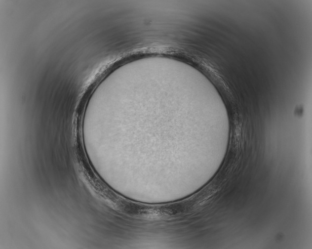 X0000115730678200912101453