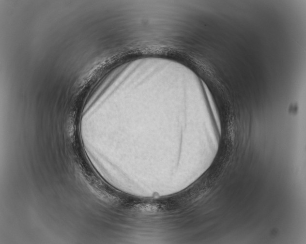 X0000115730687200912101452