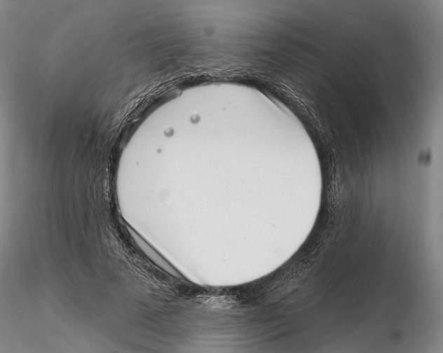 X0000115730689200912101452