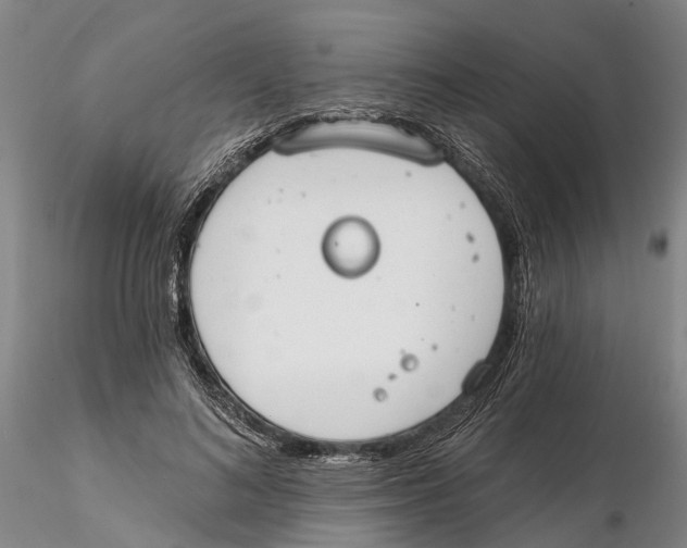 X0000115730692200912101452
