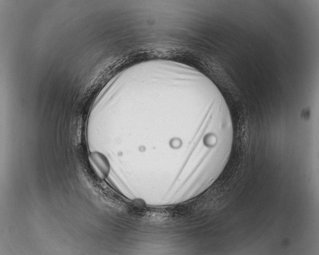 X0000115730694200912101452