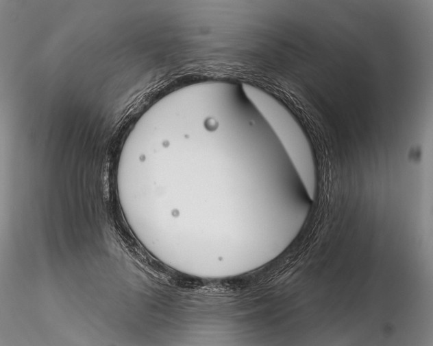 X0000115730696200912101452