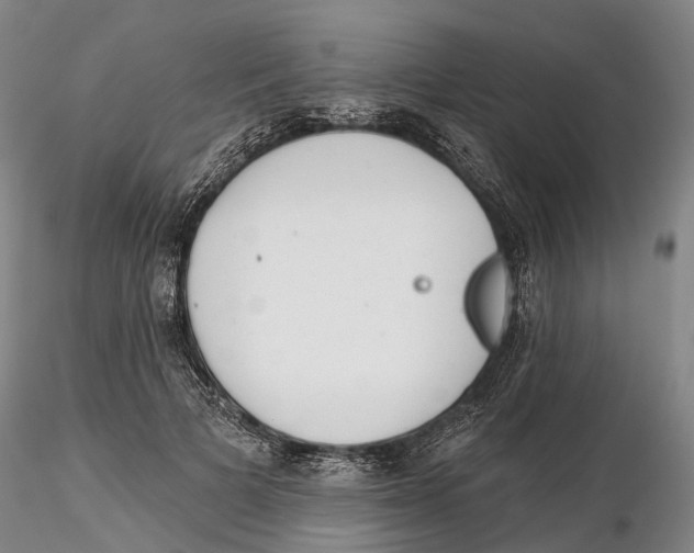 X0000115730697200912101452