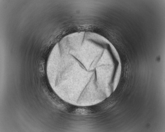 X0000115730699200912101452