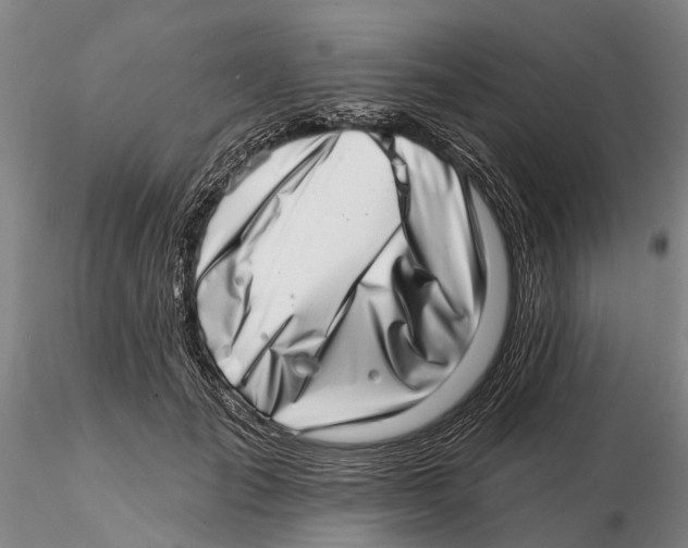 X0000115730701200912101452