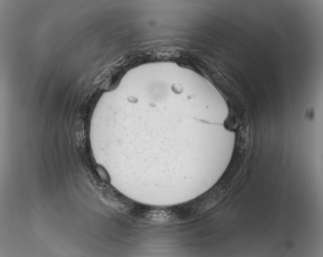 X0000115730704200912101452