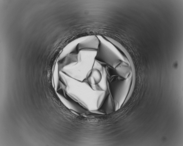 X0000115730709200912101452