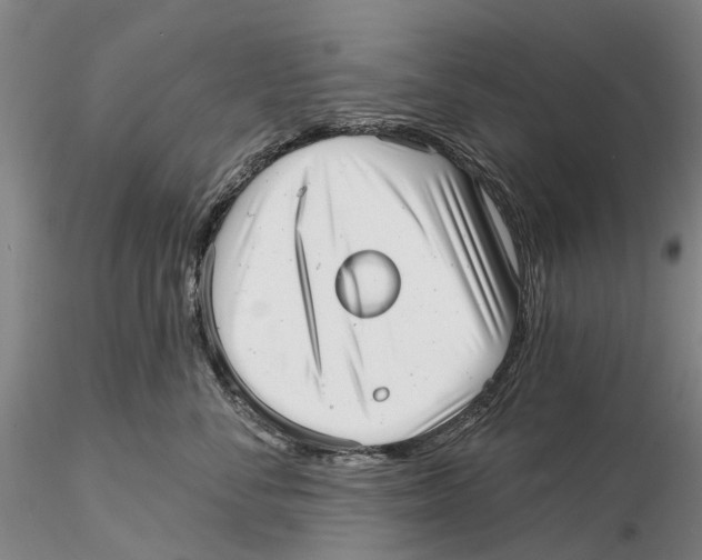X0000115730716200912101452