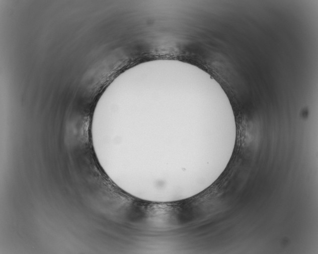 X0000115730717200912101452