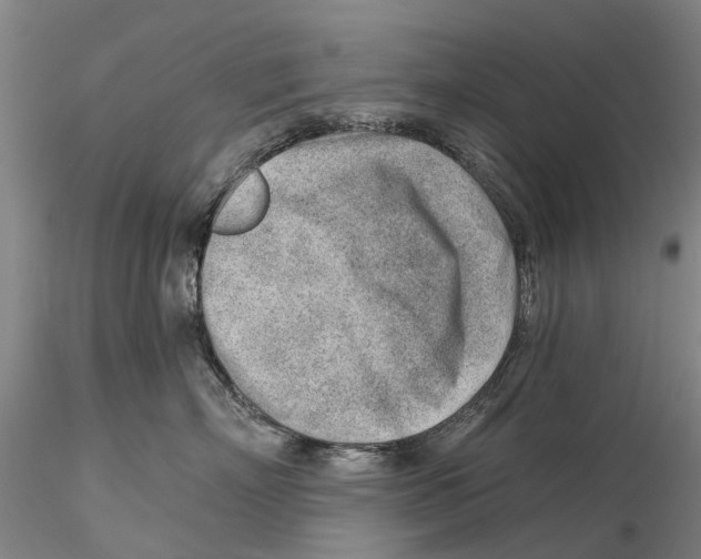 X0000115730718200912101452