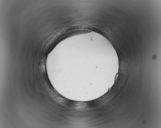 X0000115730719200912101452