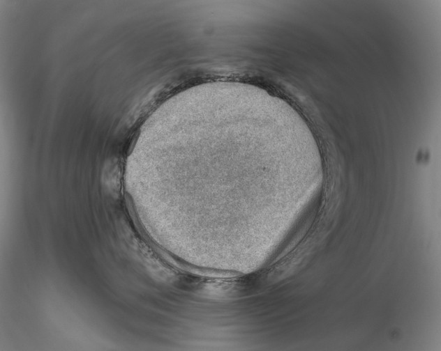 X0000115730720200912101452