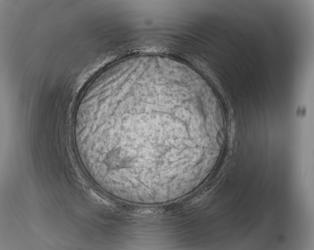 X0000115730721200912101451