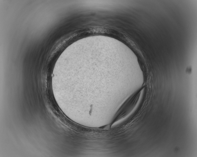 X0000115730722200912101451