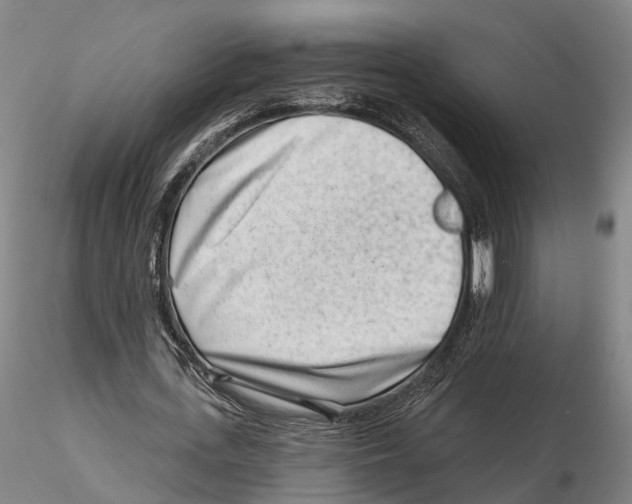 X0000115730723200912101451