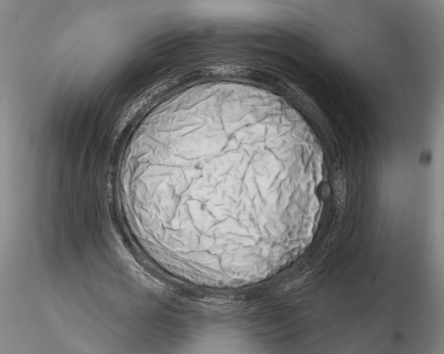 X0000115730725200912101451